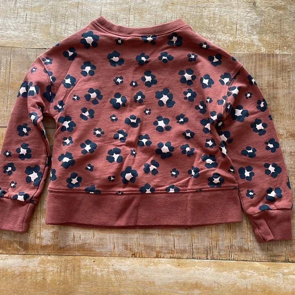 Carter’s girls sweatshirt 4t